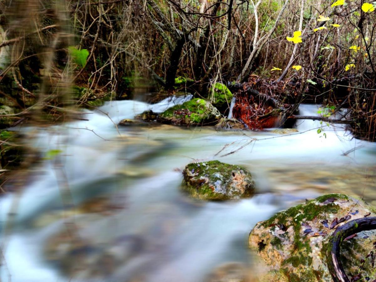 La Casa Del Naturalista เอลบอสเก ภายนอก รูปภาพ