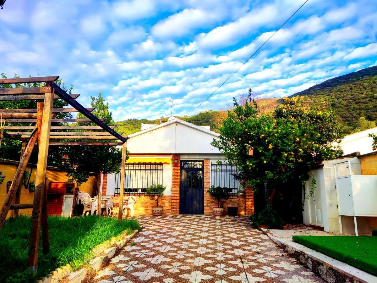La Casa Del Naturalista เอลบอสเก ภายนอก รูปภาพ