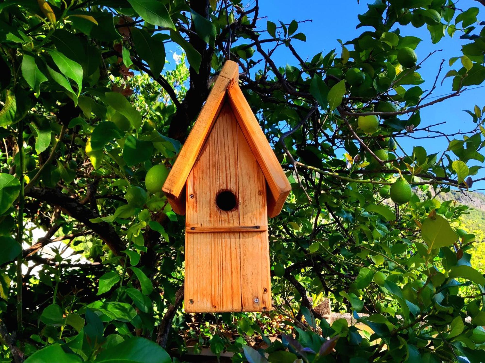 La Casa Del Naturalista เอลบอสเก ภายนอก รูปภาพ