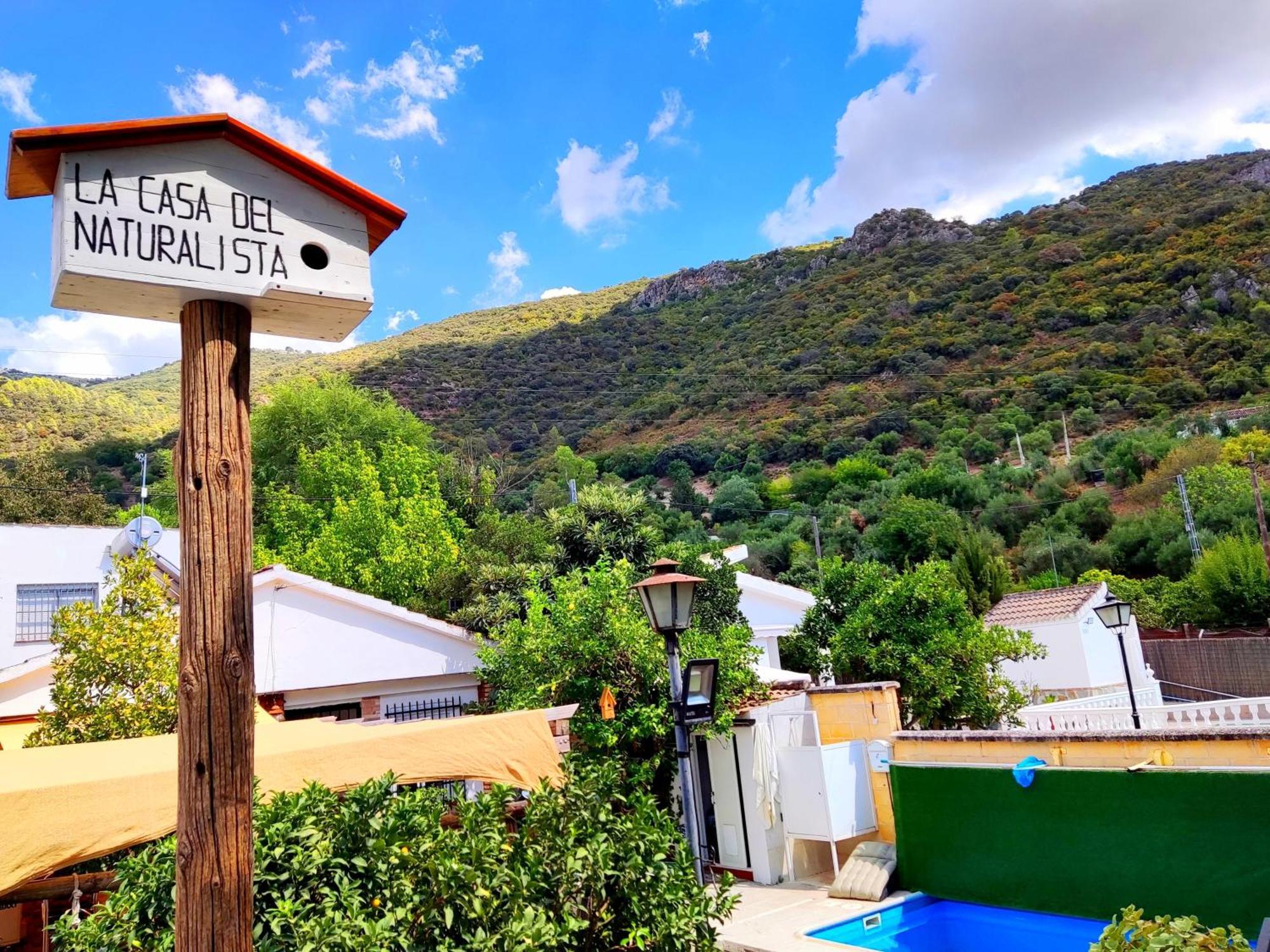 La Casa Del Naturalista เอลบอสเก ภายนอก รูปภาพ